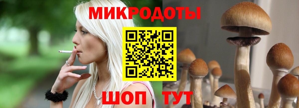Псилоцибиновые грибы Psilocybe  Псилоцибиновые грибы мухоморы  Вход с VPN  как найти наркотики  Новокубанск 